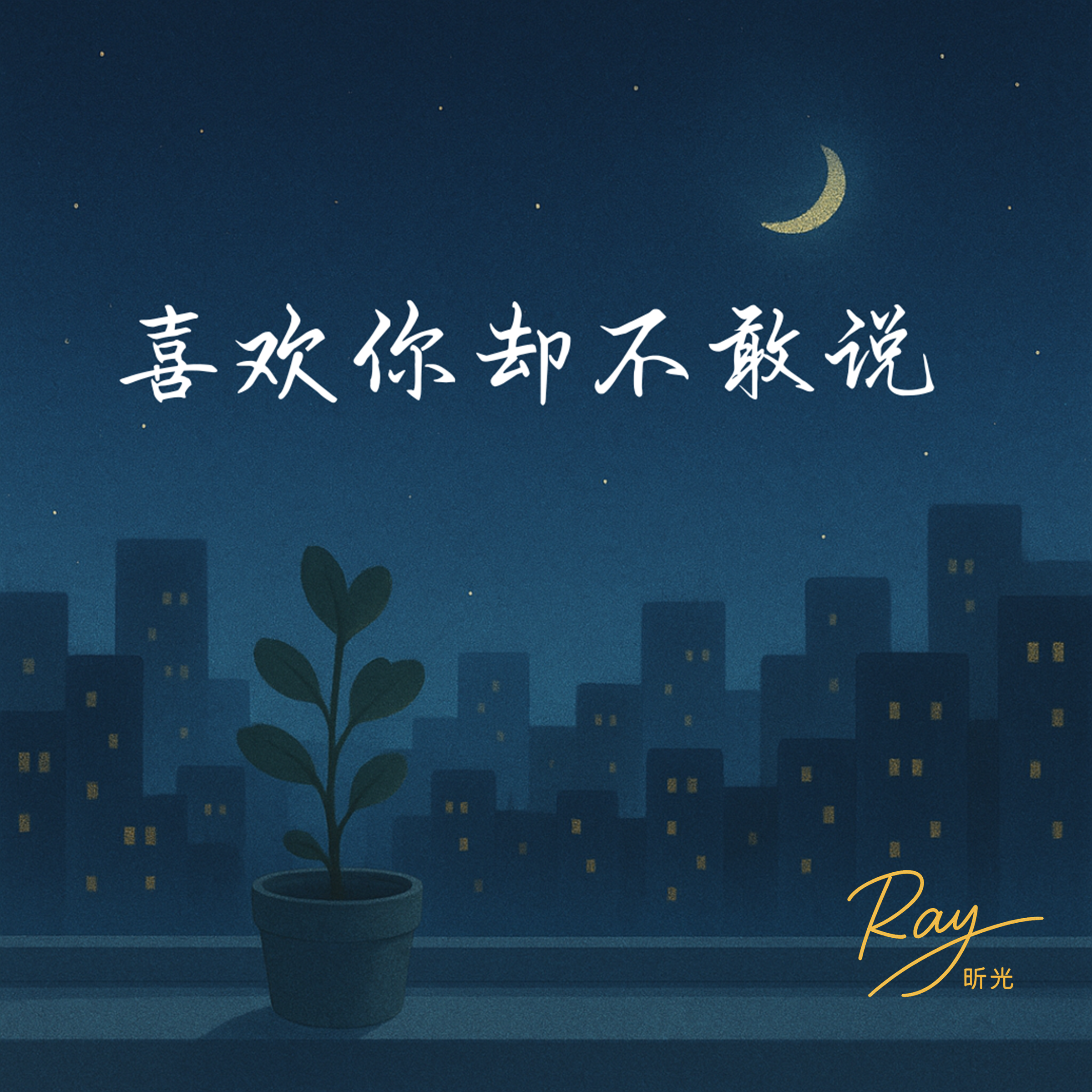 喜欢你却不敢说 — All the Words I Never Said, by Ray 昕光