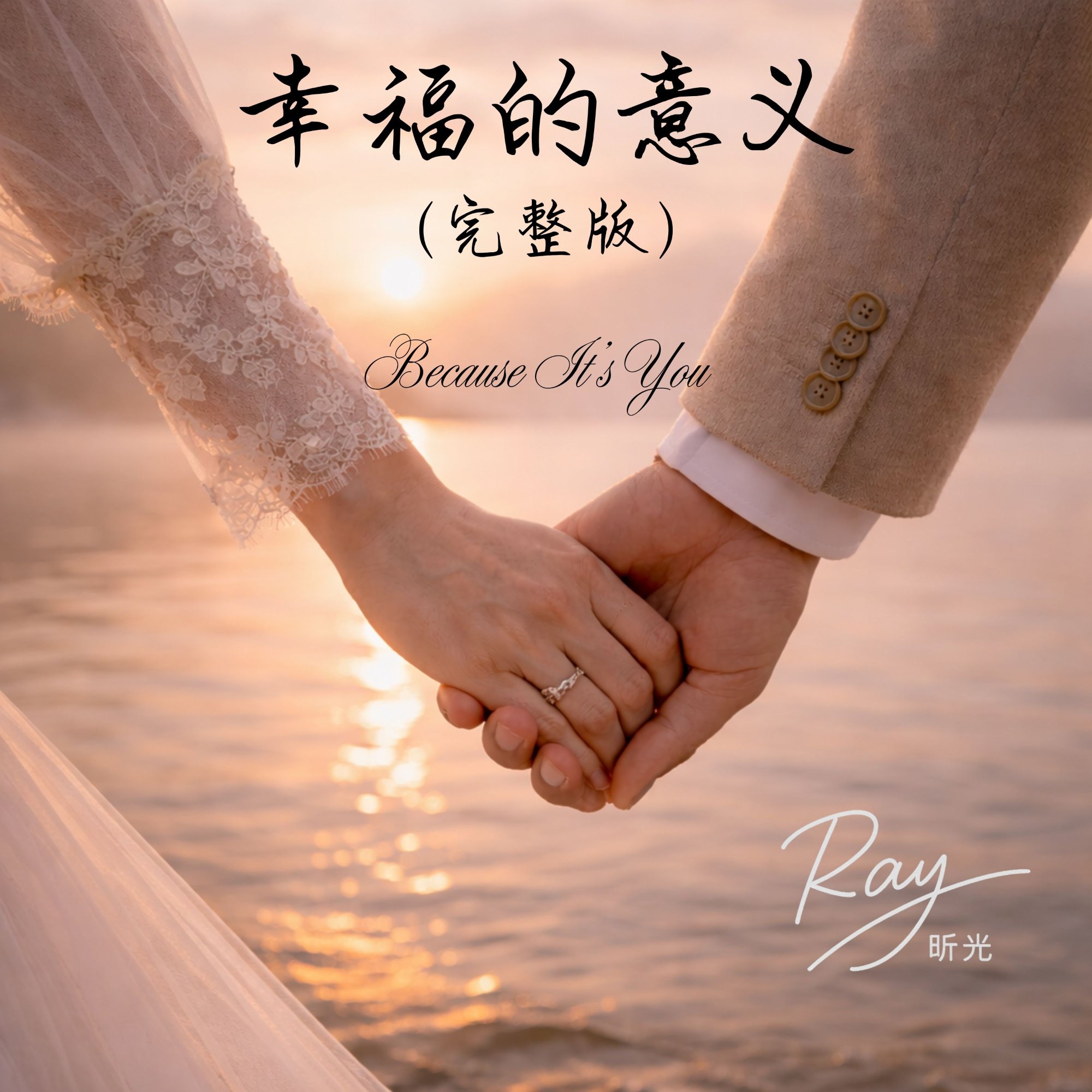 幸福的意义 (完整版) — cover art by Ray 昕光
